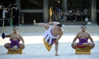 Overall_Yin_Body_Appearance_Gallery_173.jpg