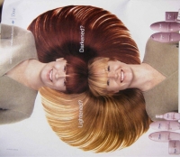 Yin_Yang_Related_Gallery_013.jpg