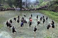 Yin_Yang_Related_Gallery_019.jpg
