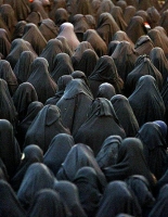 Yin_Yang_Related_Gallery_020.jpg