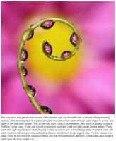 Yin_Yang_Related_Gallery_022.jpg