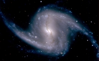 Yin_Yang_Related_Gallery_024.jpg