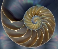 Yin_Yang_Related_Gallery_025.jpg