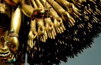 Yin_Yang_Related_Gallery_028.jpg