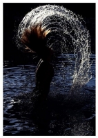 Yin_Yang_Related_Gallery_031.jpg