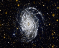 Yin_Yang_Related_Gallery_033.jpg
