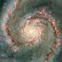 Yin_Yang_Related_Gallery_035.jpg