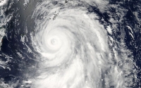 Yin_Yang_Related_Gallery_038.jpg