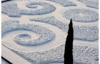 Yin_Yang_Related_Gallery_039.jpg