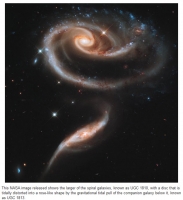 Yin_Yang_Related_Gallery_043.jpg
