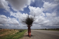 Feats_Of_Strength_Gallery_057.jpg
