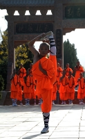 Kung_Fu_Related_003.jpg