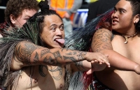 Long_Tongue_005.jpg