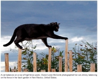 Yin_Training_Methods_007.jpg