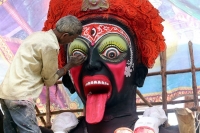Long_Tongue_018.jpg
