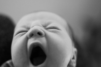 Big_Mouth_Gallery_032.jpg