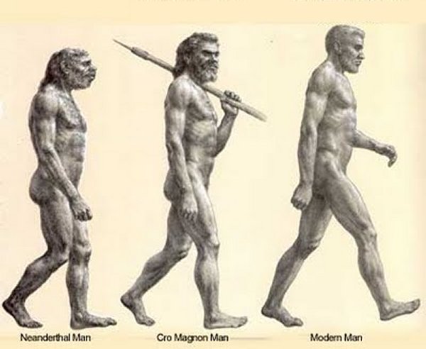 NeanderCroMag-CompareBase.jpg