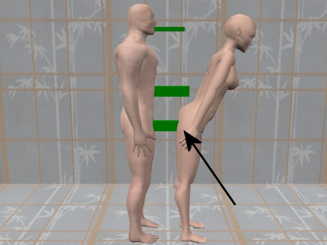 Conception-VaginaConnectArrow