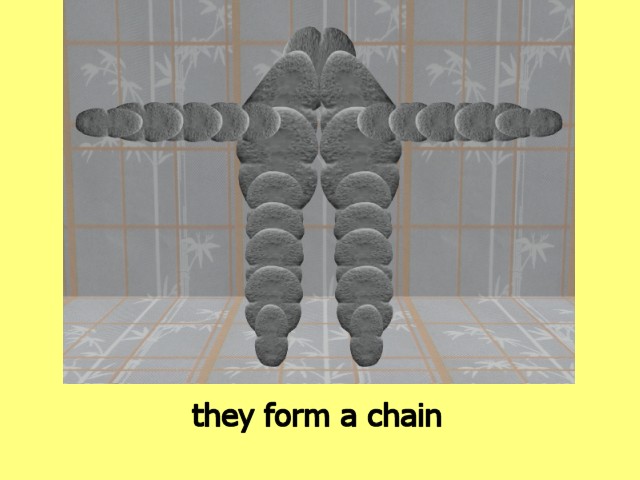 MultiCellVideo01-BecauseTheDividingCells02