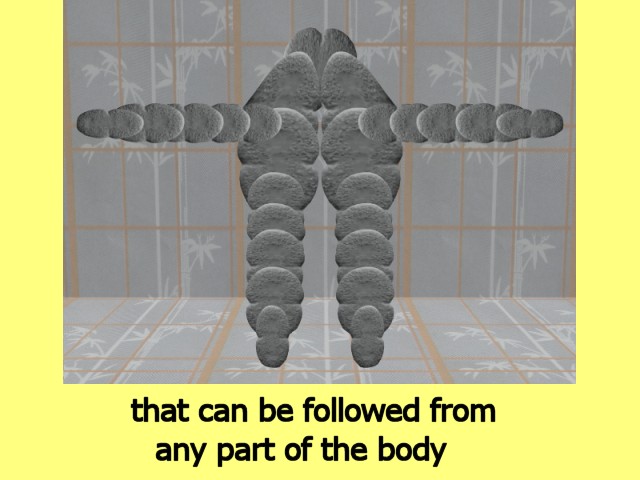 MultiCellVideo01-BecauseTheDividingCells03
