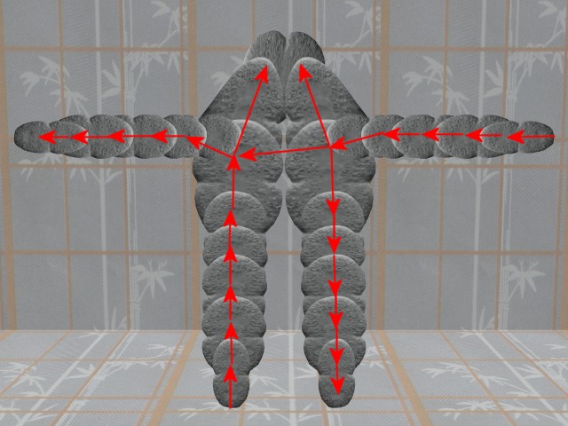 MultiCellVideo01-EntireBodyInterconnected