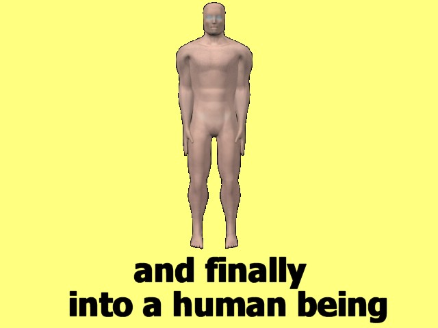 MultiCellVideo01-HumanBeing