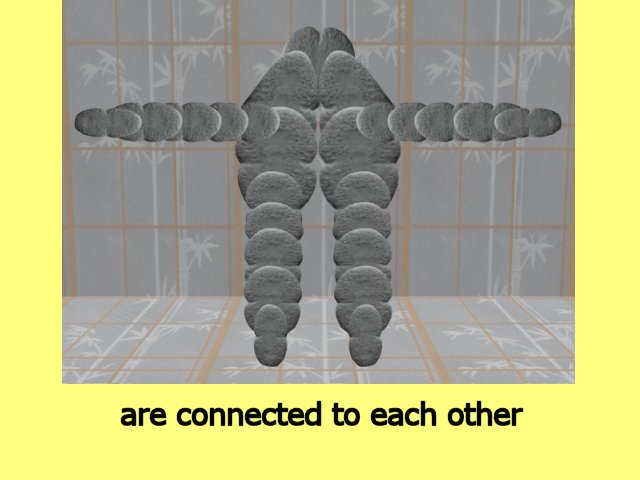 MultiCellVideo01-Implies02