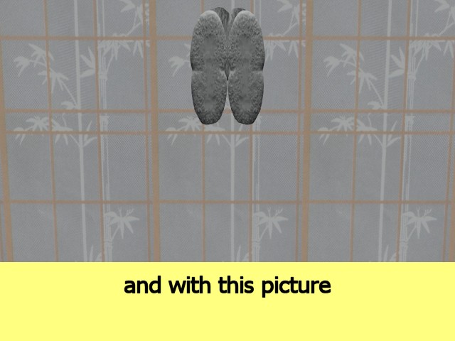 MultiCellVideo01-IsMoreEyePleasing03