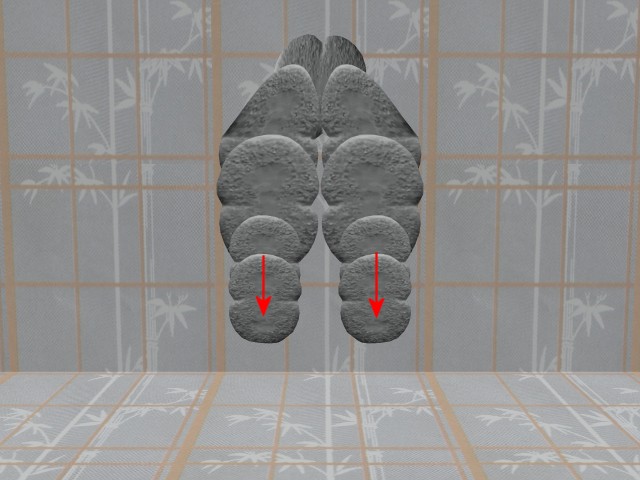 MultiCellVideo01-NewCells03DownArrows