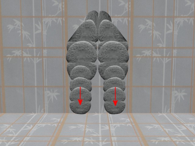 MultiCellVideo01-NewCells04DownArrows