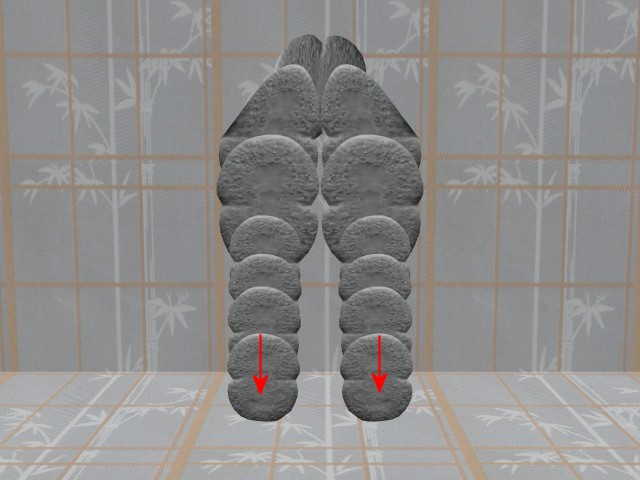 MultiCellVideo01-NewCells05DownArrows