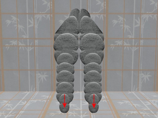 MultiCellVideo01-NewCells06DownArrows