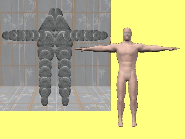 MultiCellVideo01-TheGrouping02