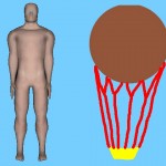 The Hot Air Balloon View Of The Human Body