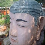 Buddha's Ears - The Secrets Of Life 22