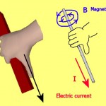 What "The Right Hand Rule" Was Based On - The Secrets Of Life 56