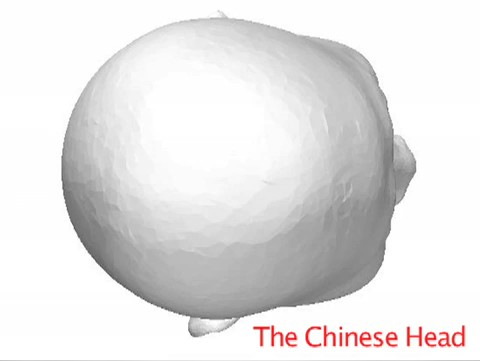 Asian_Western_Head_Shapes-ChineseHead