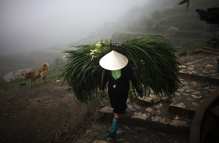 Pyramid_Shaped_Headgear_Gallery_019.jpg