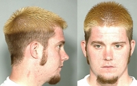 Phrenology_Gallery_1273.jpg