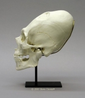 Happeh_Scholar_Gallery_070.jpg